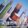 金山電線天津電機(jī)引接線JBQ