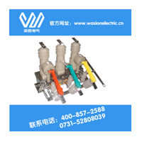 柱上智能真空斷路器 ZW32 ZW20安全又專業(yè)威勝電氣