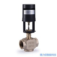 德力信VA3000電動(dòng)二通閥