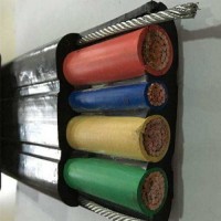 YCBGP扁電纜