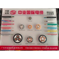 廣東中業(yè)國(guó)際電纜有限公司W(wǎng)DZB1BYJ10mm2