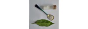 氧化鋯（R30Y3）陶瓷的光固化成型