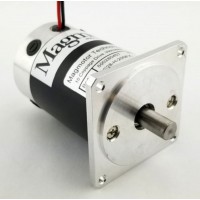 美國Magmotor電機(jī)